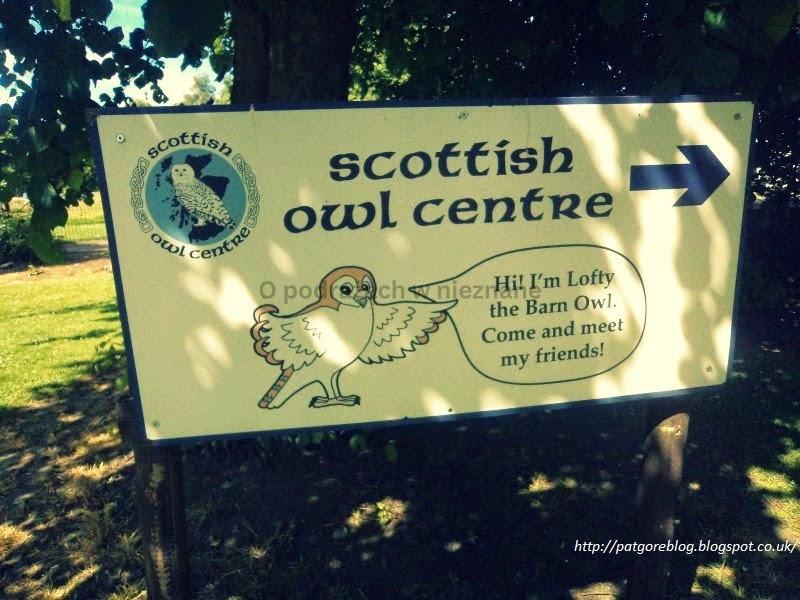 Mini podróż w nieznane do Scottish Owl Centre :)